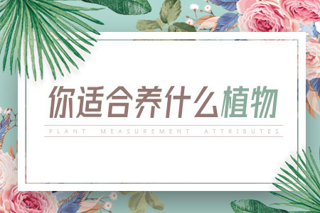 五行看你适合种什么植物