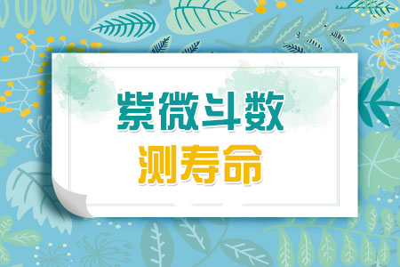 紫微斗数测寿命